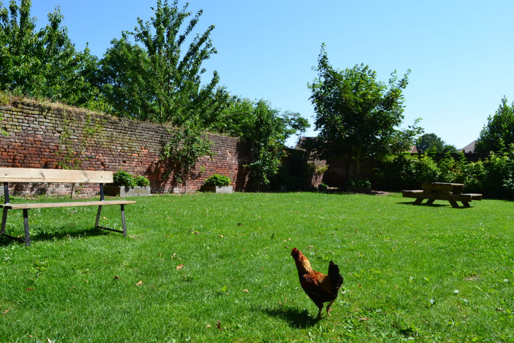 Clinique Les Bruyères