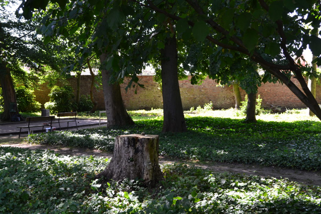 Clinique Les Bruyères