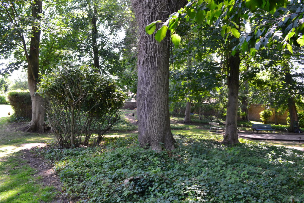 Clinique Les Bruyères