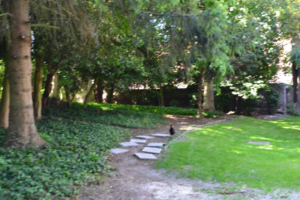 Clinique Les Bruyères